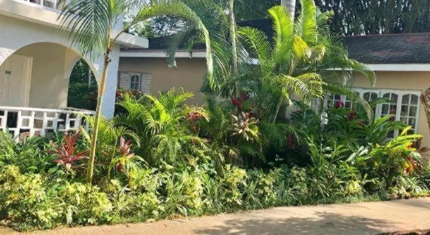 Gold Nugget Hotel Negril Giamaica